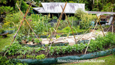 Permaculture Garden