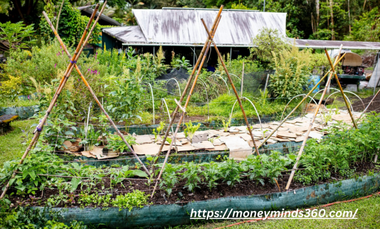 Permaculture Garden